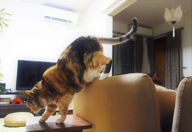 f:id:hiraryo0201:20180225101400j:plain f:id:hiraryo0201:20180225101400j:plain