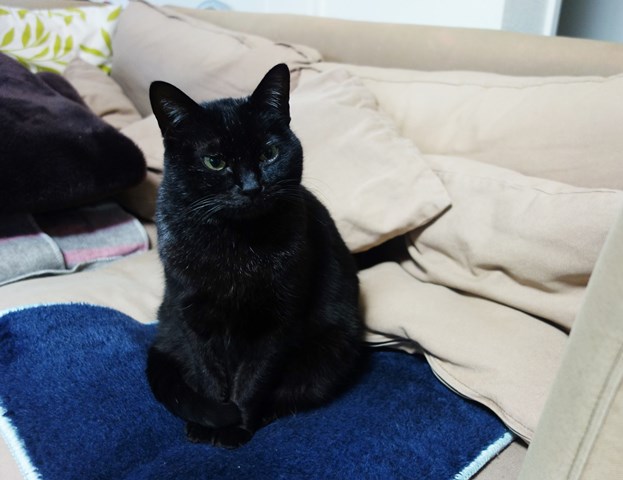 f:id:hiraryo0201:20180225101854j:plain f:id:hiraryo0201:20180225101854j:plain