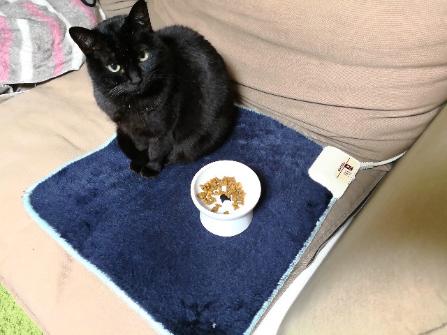 f:id:hiraryo0201:20180307125434j:image