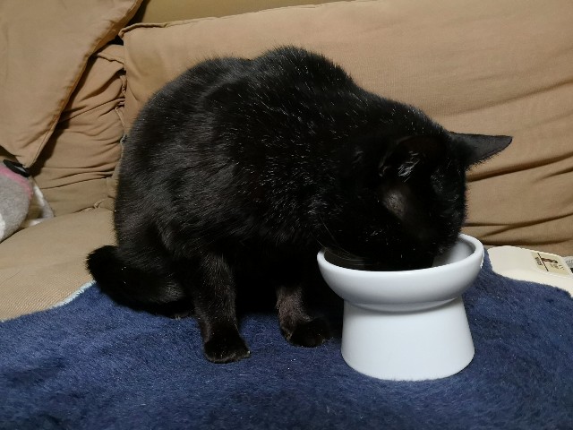 f:id:hiraryo0201:20180307125446j:image