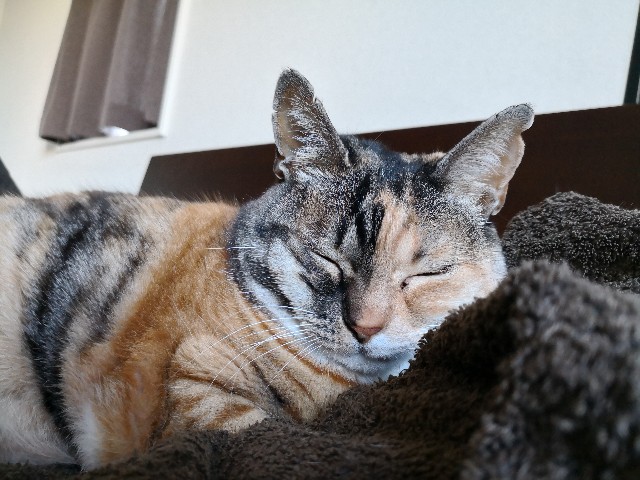 f:id:hiraryo0201:20180317124004j:image f:id:hiraryo0201:20180317124004j:image