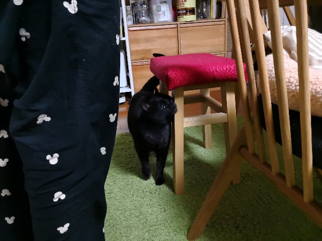 f:id:hiraryo0201:20180323150711j:plain f:id:hiraryo0201:20180323150711j:plain