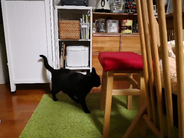 f:id:hiraryo0201:20180323150734j:plain f:id:hiraryo0201:20180323150734j:plain