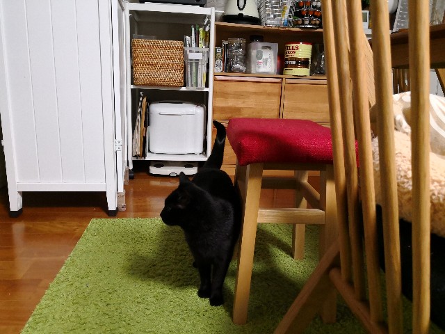 f:id:hiraryo0201:20180323150750j:plain f:id:hiraryo0201:20180323150750j:plain