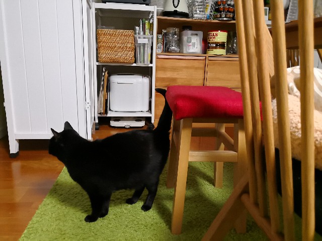 f:id:hiraryo0201:20180323150802j:plain f:id:hiraryo0201:20180323150802j:plain