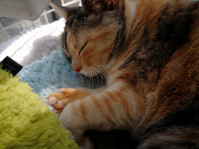 f:id:hiraryo0201:20180325195514j:image