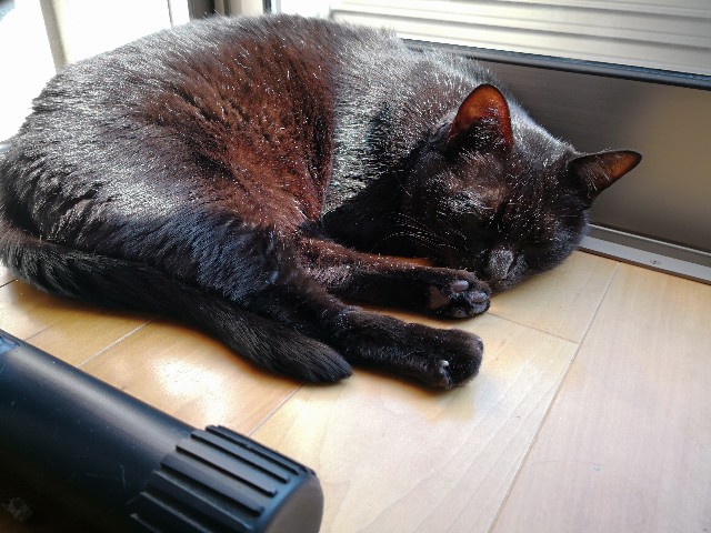 f:id:hiraryo0201:20180325195527j:image