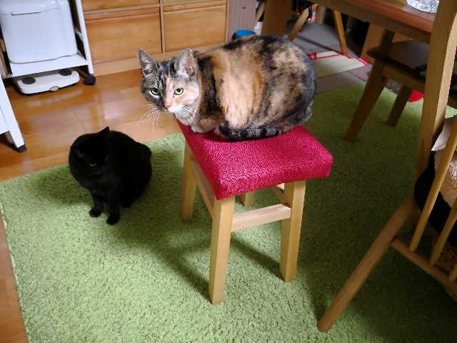 f:id:hiraryo0201:20180328074618j:plain