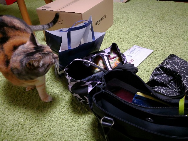 f:id:hiraryo0201:20180328074629j:plain