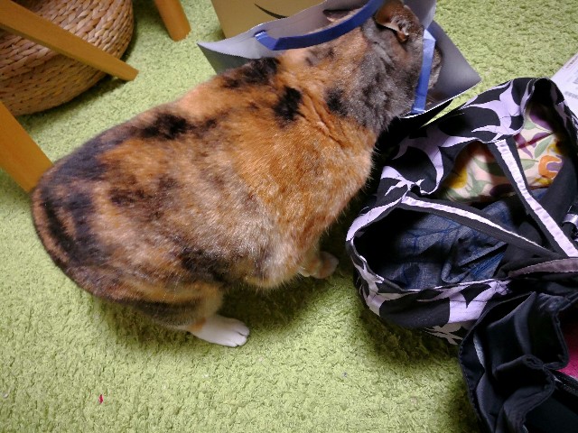 f:id:hiraryo0201:20180328074658j:plain