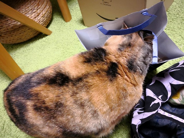 f:id:hiraryo0201:20180328074714j:plain