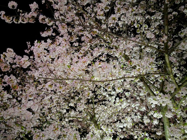 f:id:hiraryo0201:20180328212309j:image f:id:hiraryo0201:20180328212309j:image