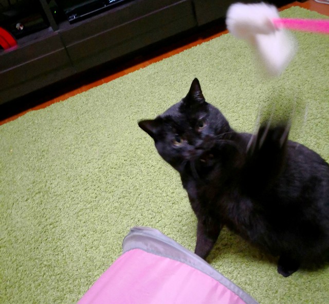 f:id:hiraryo0201:20180331112758j:plain
