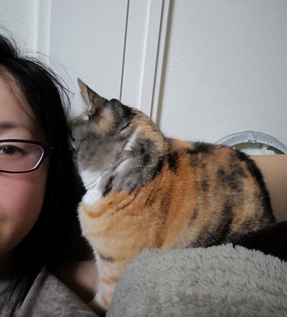 f:id:hiraryo0201:20180403210647j:plain