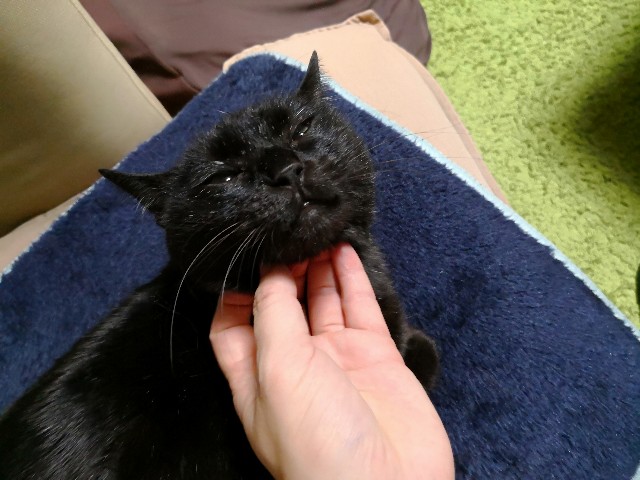 f:id:hiraryo0201:20180403210836j:image