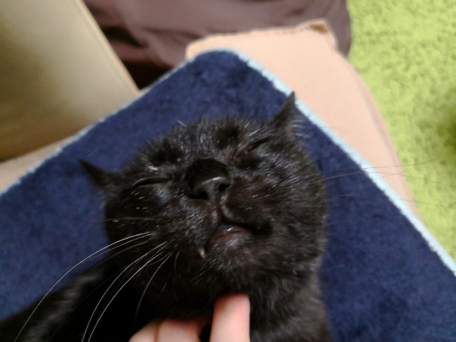 f:id:hiraryo0201:20180403210851j:image