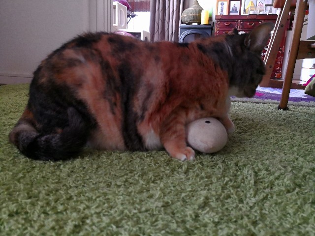 f:id:hiraryo0201:20180403210955j:image f:id:hiraryo0201:20180403210955j:image