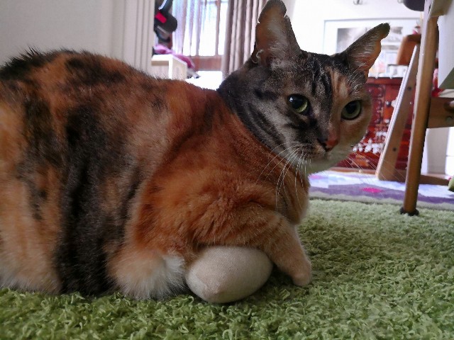 f:id:hiraryo0201:20180403211039j:image f:id:hiraryo0201:20180403211039j:image