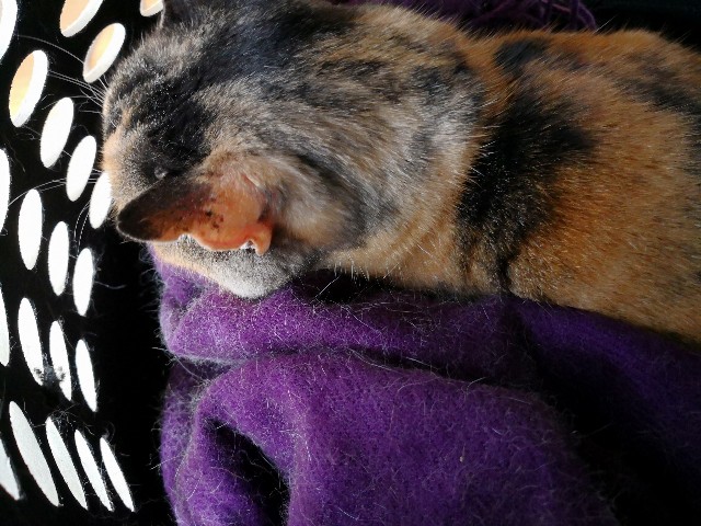 f:id:hiraryo0201:20180408100138j:plain