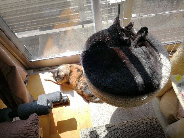 f:id:hiraryo0201:20180408111922j:image f:id:hiraryo0201:20180408111922j:image