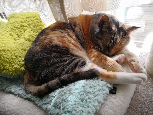 f:id:hiraryo0201:20180408111938j:image f:id:hiraryo0201:20180408111938j:image