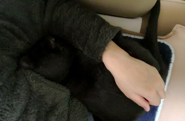 f:id:hiraryo0201:20180408112053j:image f:id:hiraryo0201:20180408112053j:image