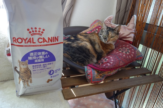 f:id:hiraryo0201:20180408130132j:plain