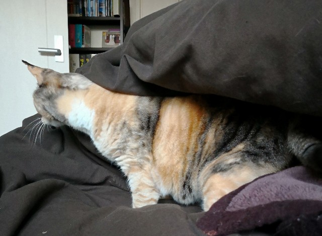 f:id:hiraryo0201:20180408192900j:image f:id:hiraryo0201:20180408192900j:image