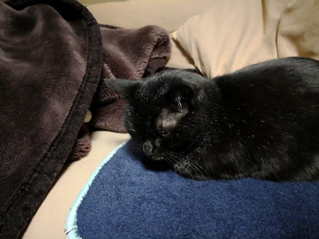 f:id:hiraryo0201:20180408193202j:image f:id:hiraryo0201:20180408193202j:image