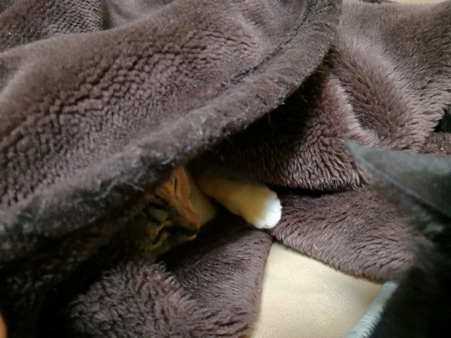 f:id:hiraryo0201:20180408193218j:plain f:id:hiraryo0201:20180408193218j:plain