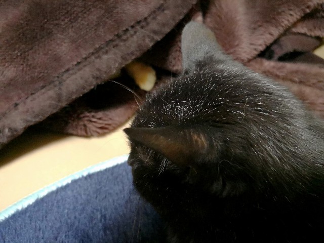 f:id:hiraryo0201:20180408193234j:plain f:id:hiraryo0201:20180408193234j:plain