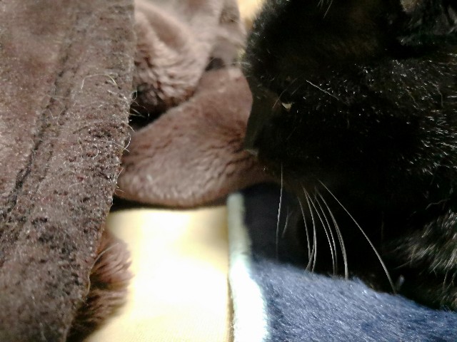 f:id:hiraryo0201:20180408193316j:plain f:id:hiraryo0201:20180408193316j:plain