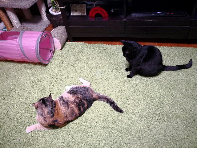 f:id:hiraryo0201:20180408193349j:image f:id:hiraryo0201:20180408193349j:image