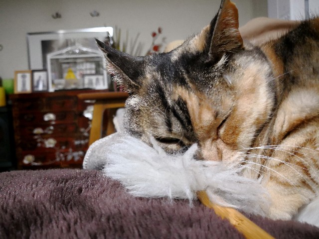 f:id:hiraryo0201:20180410125203j:image f:id:hiraryo0201:20180410125203j:image