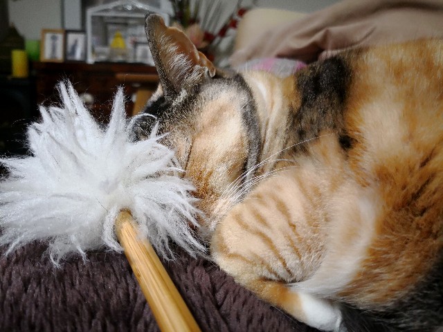 f:id:hiraryo0201:20180410125220j:image f:id:hiraryo0201:20180410125220j:image