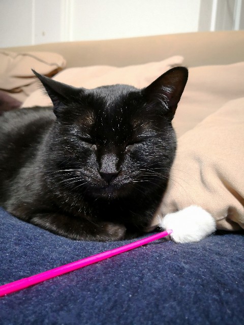 f:id:hiraryo0201:20180410125247j:image f:id:hiraryo0201:20180410125247j:image