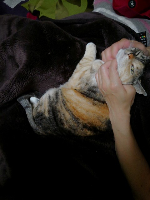 f:id:hiraryo0201:20180414211355j:image