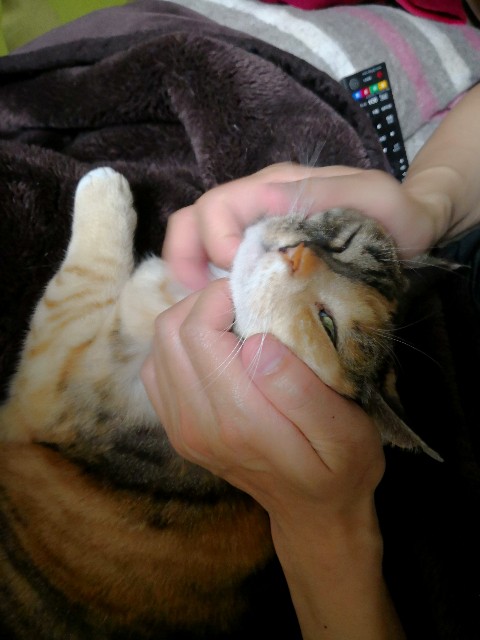 f:id:hiraryo0201:20180414211411j:image