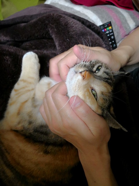 f:id:hiraryo0201:20180414211423j:image