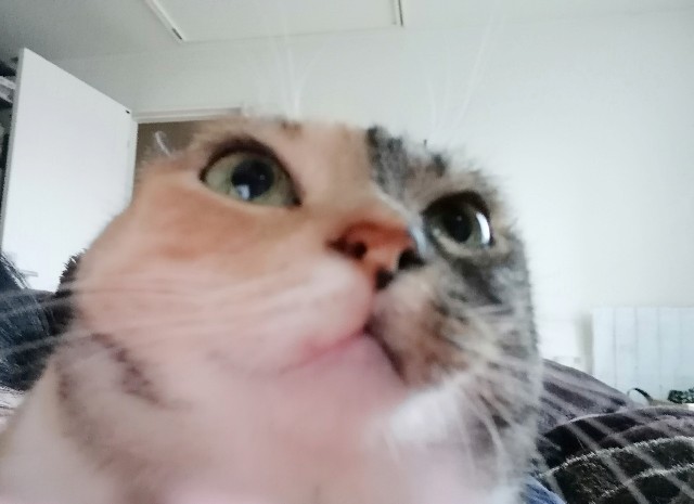 f:id:hiraryo0201:20180415105047j:image f:id:hiraryo0201:20180415105047j:image