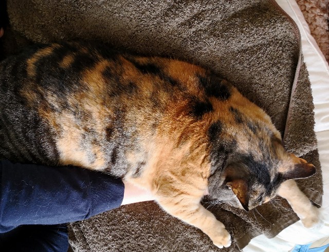 f:id:hiraryo0201:20180415105133j:image f:id:hiraryo0201:20180415105133j:image