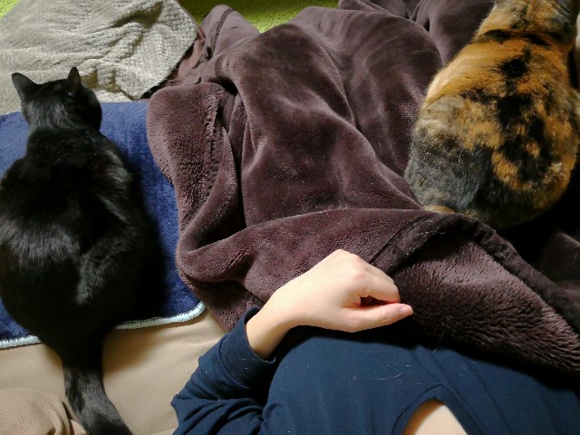 f:id:hiraryo0201:20180415105151j:image f:id:hiraryo0201:20180415105151j:image