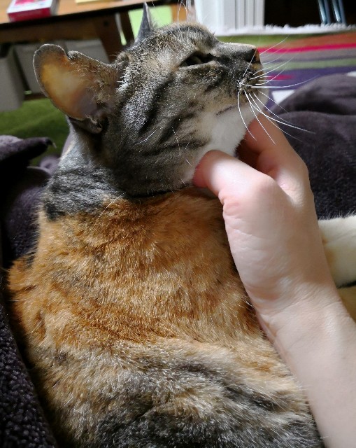 f:id:hiraryo0201:20180415105224j:image f:id:hiraryo0201:20180415105224j:image