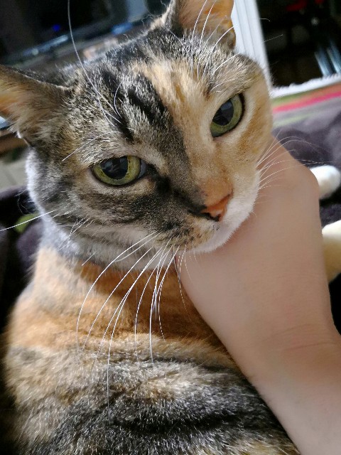 f:id:hiraryo0201:20180415105248j:image f:id:hiraryo0201:20180415105248j:image