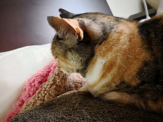 f:id:hiraryo0201:20180415105411j:image f:id:hiraryo0201:20180415105411j:image