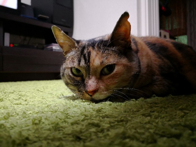 f:id:hiraryo0201:20180415105645j:image f:id:hiraryo0201:20180415105645j:image