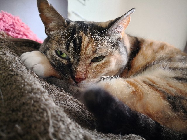 f:id:hiraryo0201:20180415105741j:image f:id:hiraryo0201:20180415105741j:image