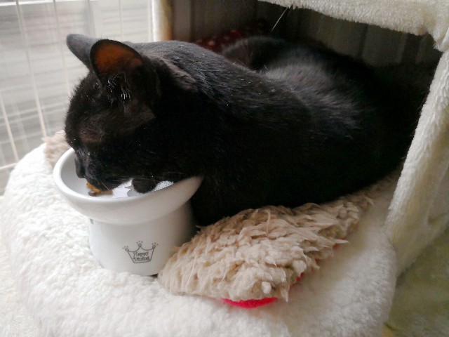 f:id:hiraryo0201:20180415120406j:image f:id:hiraryo0201:20180415120406j:image