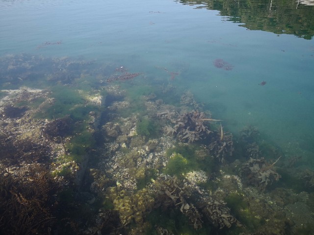 f:id:hiraryo0201:20180421121456j:image