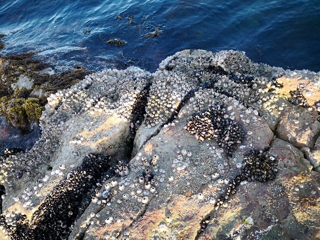 f:id:hiraryo0201:20180421122915j:image f:id:hiraryo0201:20180421122915j:image